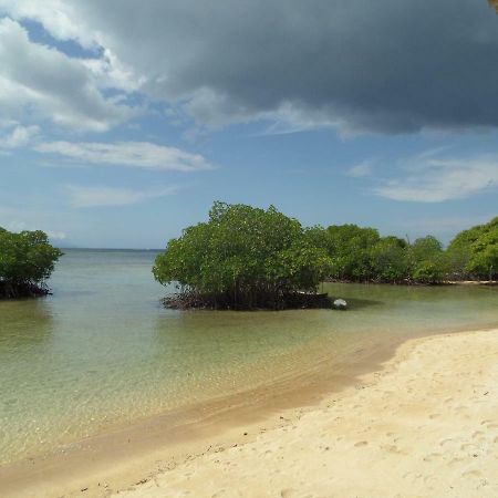 Mangrove Paradise Retreat Nusa Lembongan Exteriér fotografie