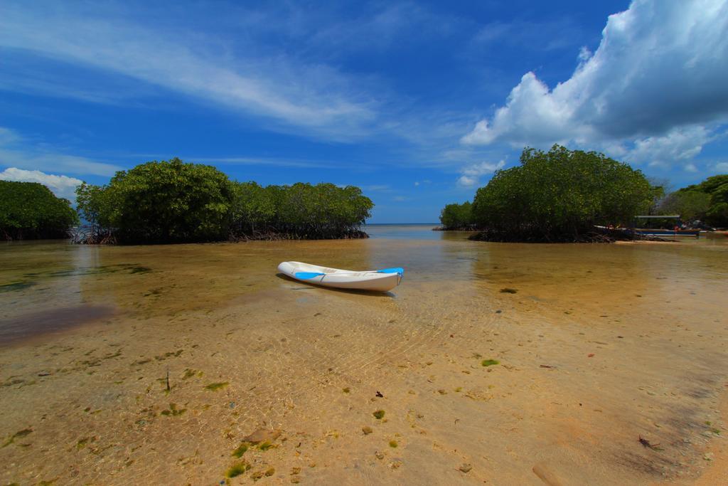Mangrove Paradise Retreat Nusa Lembongan Exteriér fotografie