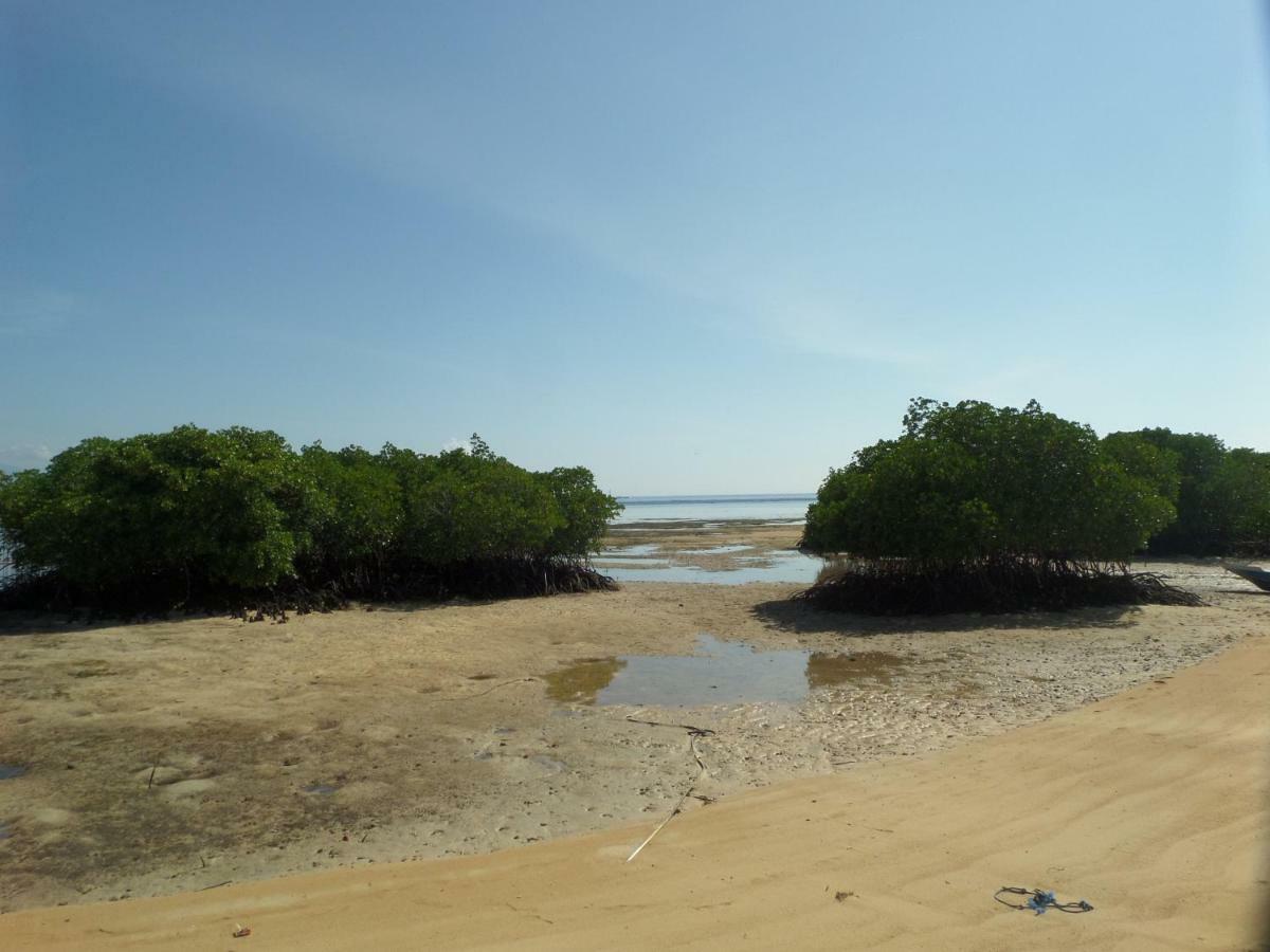 Mangrove Paradise Retreat Nusa Lembongan Exteriér fotografie